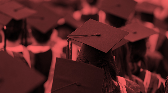 University Fees University Fees